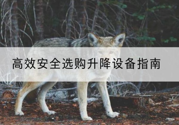 青河升降货梯厂家推荐-*安全选购升降设备指南