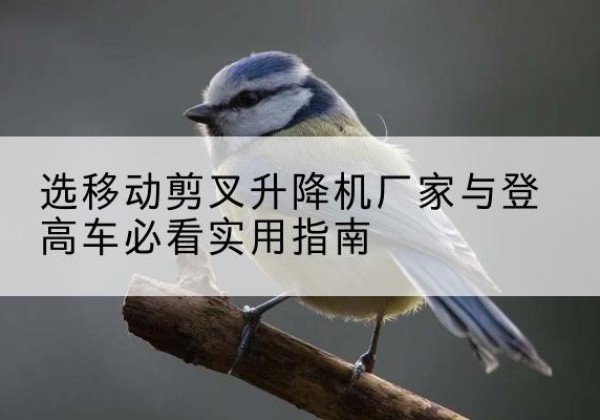 青河电动升降机厂家-选移动剪叉升降机厂家与登高车必看实用指南