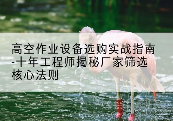 青河剪叉式升降机厂家-高空作业设备选购实战指南-十年工程师揭秘厂家筛选核心法则